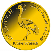 ZOO Eberswalde Kronenkranich
