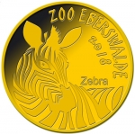 ZOO Eberswalde - Zebra
